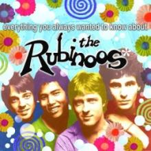 Everything You Always Wanted to Know About the Rubinoos 
